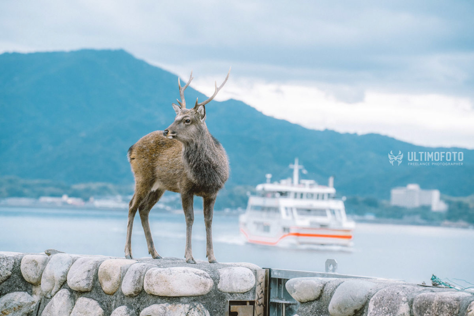 建築・不動産写真